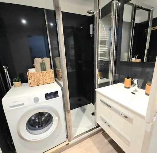 Apartment Avec Balcon Vue Montblanc Et Parking Gratuit Le Nid Daigle Chamonix