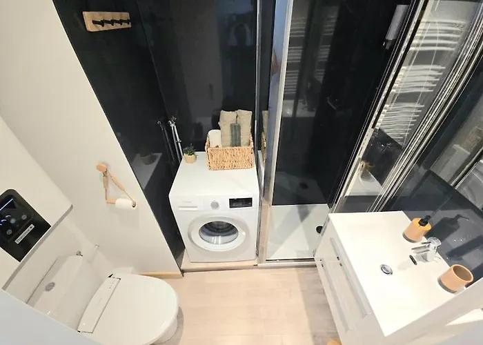 Apartment Avec Balcon Vue Montblanc Et Parking Gratuit Le Nid Daigle Chamonix